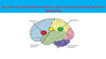 Методы исследования мозговых структур презентация по логопедии