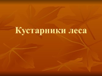 Презентация по окружающему миру Кустарники леса презентация к уроку по окружающему миру