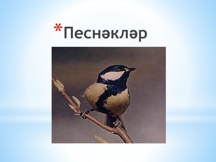 Песнәкләр