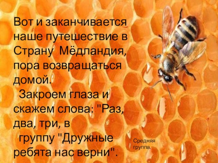 Вот и заканчивается наше путешествие в Страну Мёдландия, пора возвращаться домой. Закроем