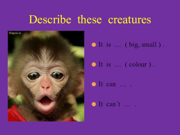 Describe these creaturesIt is … ( big, small ) .It is …