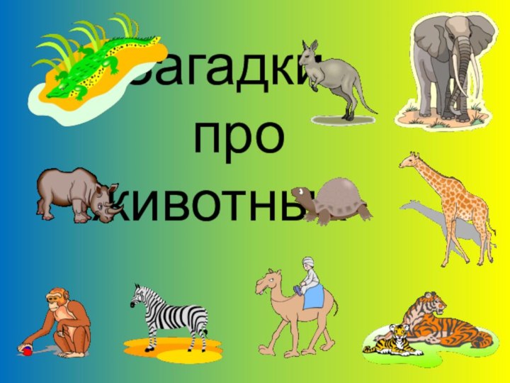 Загадки   про животных