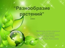 Разнообразие растений ( презентация) презентация к уроку по окружающему миру (3 класс) по теме