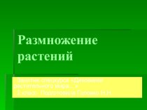 Презентация : Размножение растений презентация к уроку (2 класс) по теме