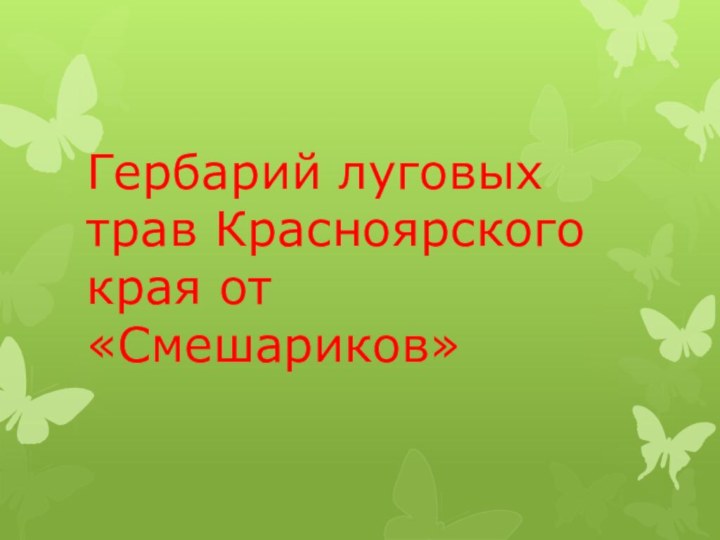 Гербарий луговых трав Красноярского края от «Смешариков»