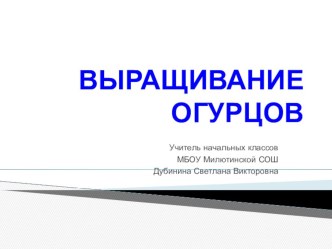 Выращивание огурцов презентация к уроку по окружающему миру (1 класс)