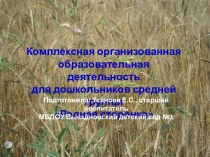 Конспект комплексной образовательной деятельности в средней группе Родная сторонка презентация к уроку (средняя группа)