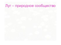 Презентация. Луг - природное сообщество. презентация к уроку по окружающему миру (2 класс) по теме