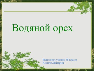 Водяной орех презентация 3 класс презентация к уроку по окружающему миру (3 класс)