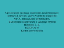 Конспект НОД по речевому развитию в 1 младшей группе, в соответствии с требованиями ФГОС Дружная семейка Конспект НОД в первой младшей группе по теме: Поиграем с пирамидками Сенсорное развитие. план-конспект занятия (младшая группа) по теме