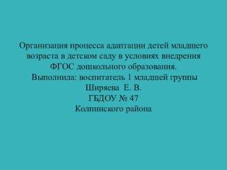 Конспект НОД по речевому развитию в 1 младшей группе, в соответствии с требованиями ФГОС Дружная семейка Конспект НОД в первой младшей группе по теме: Поиграем с пирамидками Сенсорное развитие. план-конспект занятия (младшая группа) по теме