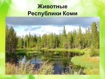 Животные Республики Коми презентация к уроку (подготовительная группа)