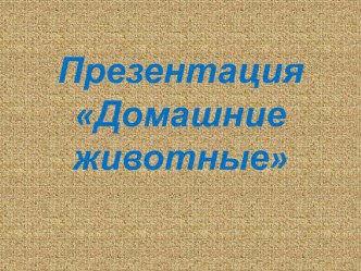 Презентация  Домашние животные презентация к уроку по развитию речи (младшая группа)