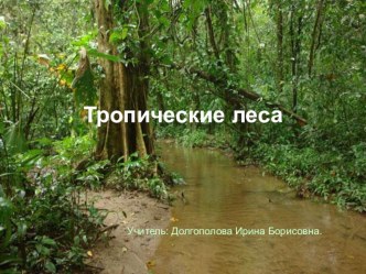 Тропические леса презентация к уроку по окружающему миру (3 класс)