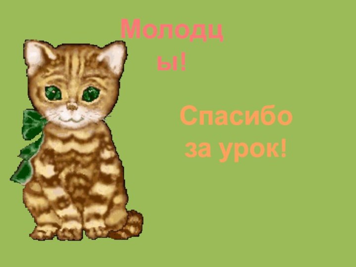 Молодцы!Спасибо за урок!