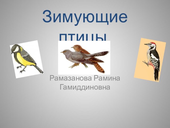 Зимующие птицы.Рамазанова Рамина Гамиддиновна