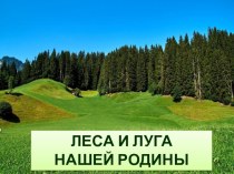 Презентация Леса и луга нашей Родины презентация к уроку по окружающему миру (старшая группа)