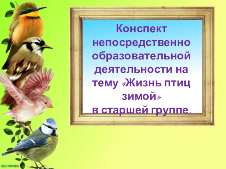 Конспект непосредственно образовательной деятельности на тему «Жизнь птиц зимой» в старшей группе.