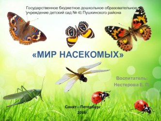Презентация :Мир насекомых презентация к уроку (средняя группа)