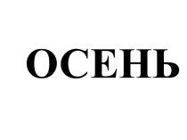 Презентация к уроку по окружающему природному миру для учащихся 2 класса с умеренной и тяжелой умственной отсталостью (II вариант обучения) Птицы зимой МУСТАФИНА Е.Г., ХАЗОВА А.А. презентация к уроку по окружающему миру (2 класс)