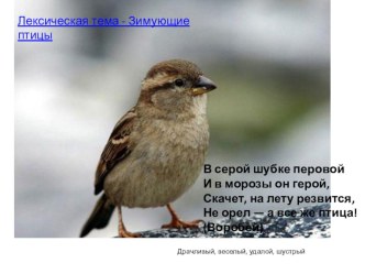 презентация о зимующих птицах нашего края ЗИМУЮЩИЕ ПТИЦЫ презентация