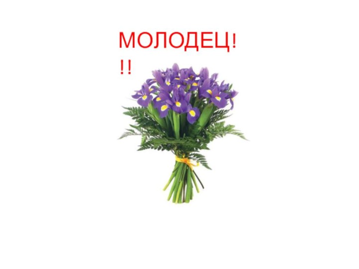 МОЛОДЕЦ!!!