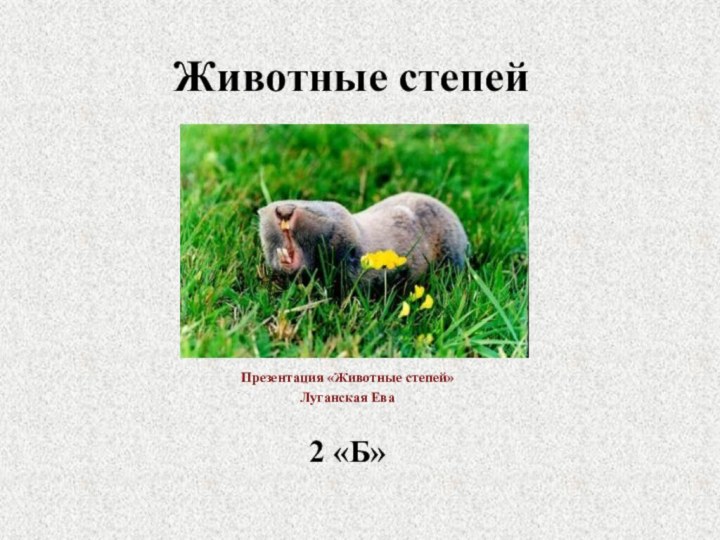 Животные степейПрезентация «Животные степей»Луганская Ева2 «Б»