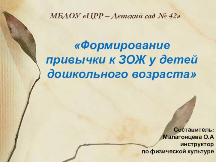 «Формирование привычки к ЗОЖ у детей дошкольного возраста»МБДОУ «ЦРР – Детский сад