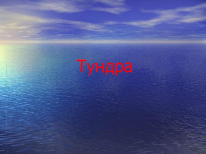 Тундра