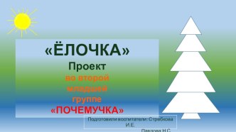 Экологический проект во второй младшей группе Ёлочка проект по окружающему миру (младшая группа)