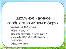 Школьное научное сообщество Ключ и Заря опыты и эксперименты (2 класс)