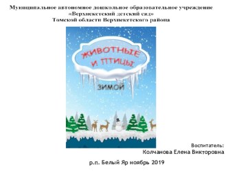 презентация Животные и птицы зимой презентация к уроку (подготовительная группа)
