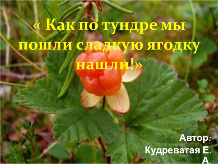 Автор: Кудреватая Е. А..« Как по тундре мы пошли сладкую ягодку нашли!»