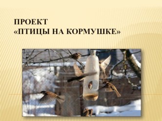 Проект Птицы на кормушке проект (2 класс)