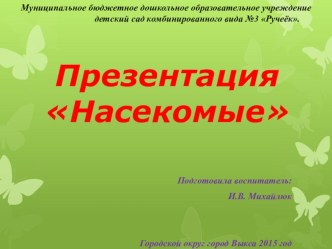 Презентация Насекомые презентация к уроку (подготовительная группа)