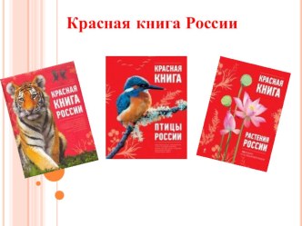 Презентация Красная книга к уроку окружающего мира в 4 классе по теме Сокровища Земли под охраной человечества презентация к уроку по окружающему миру (4 класс)