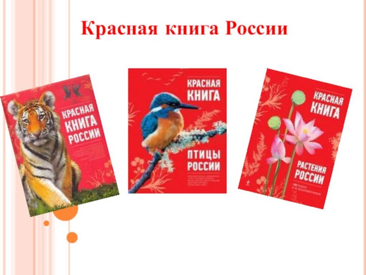 Красная книга России