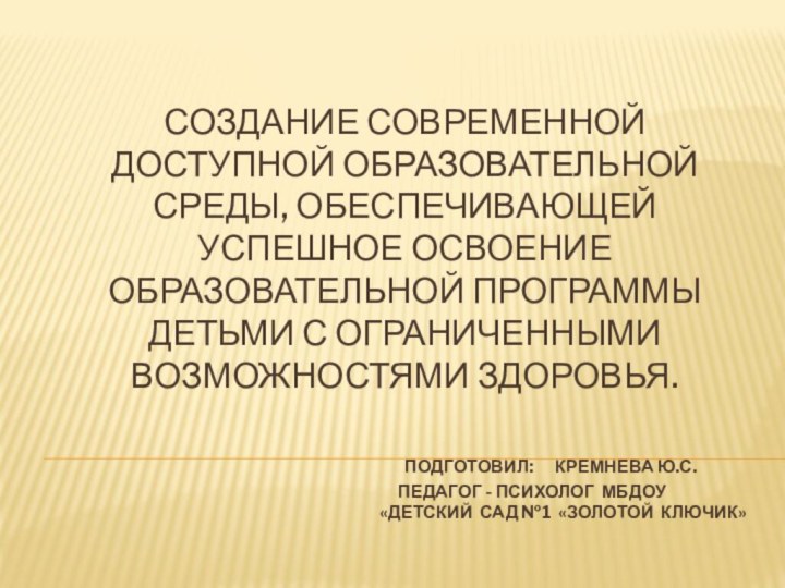 Создание современной доступной образовательной среды, обеспечивающей успешное освоение образовательной программы детьми с