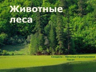 Презентация Дикие животные презентация