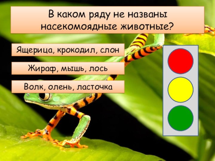 В каком ряду не названы насекомоядные животные?Ящерица, крокодил, слонВолк, олень, ласточкаЖираф, мышь, лось