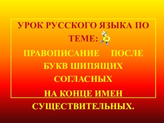 Правописание Ь после букв шипящих согласных. план-конспект урока по русскому языку по теме