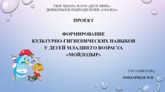 Проект МОЙДОДЫР проект (младшая группа)