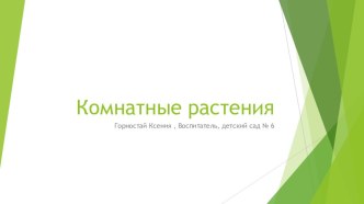 Презентация Комнатные растения презентация к уроку (средняя группа)