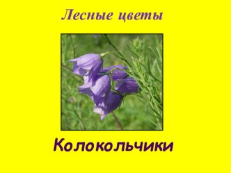 Лесные цветы - колокольчики презентация к уроку по окружающему миру