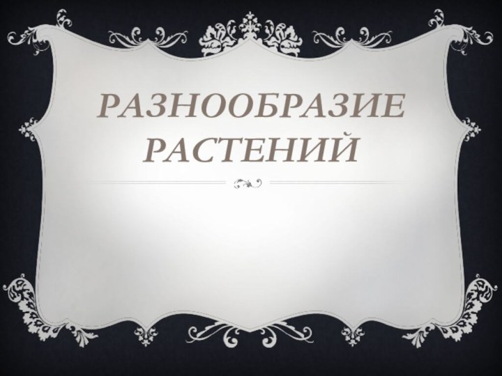 Разнообразие растений