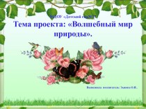 Презентация по экологии Волшебный мир природы. презентация по окружающему миру