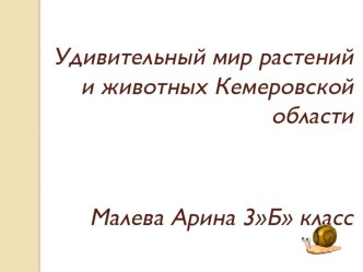 Удивительный мир растений и животных Кемеровской области презентация к уроку по окружающему миру (подготовительная группа)