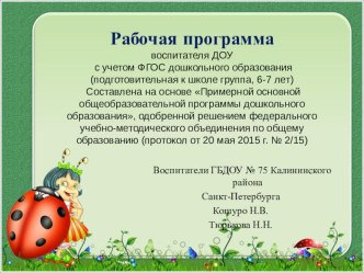 Презентация рабочей программы воспитателя. Подготовительная к школе группа. 2018-2019 уч.год презентация к уроку (подготовительная группа)