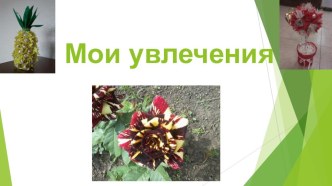 Мое увлечение материал по теме