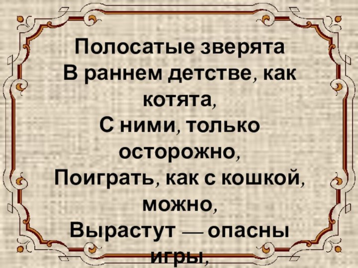 ТИГР Полосатые зверята В раннем детстве, как котята, С ними, только осторожно,